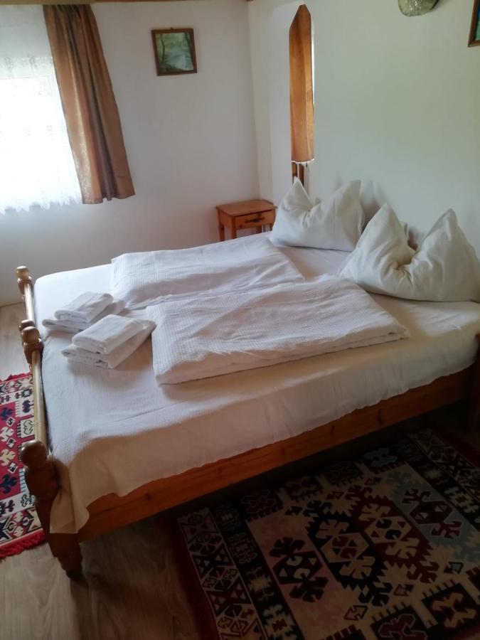 Vila Ovi Hotel Bran  Ngoại thất bức ảnh